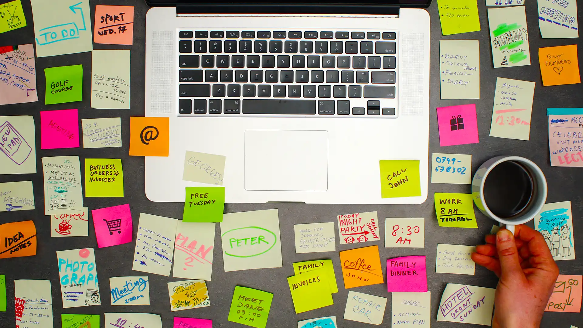Organisation