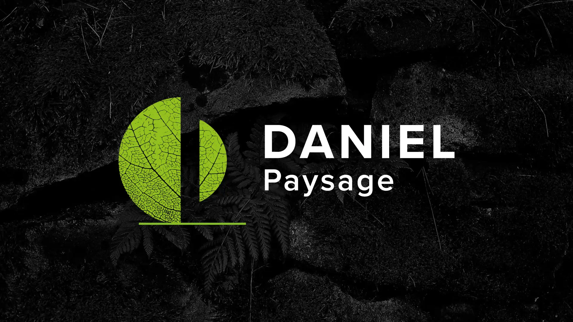 Daniel Paysage