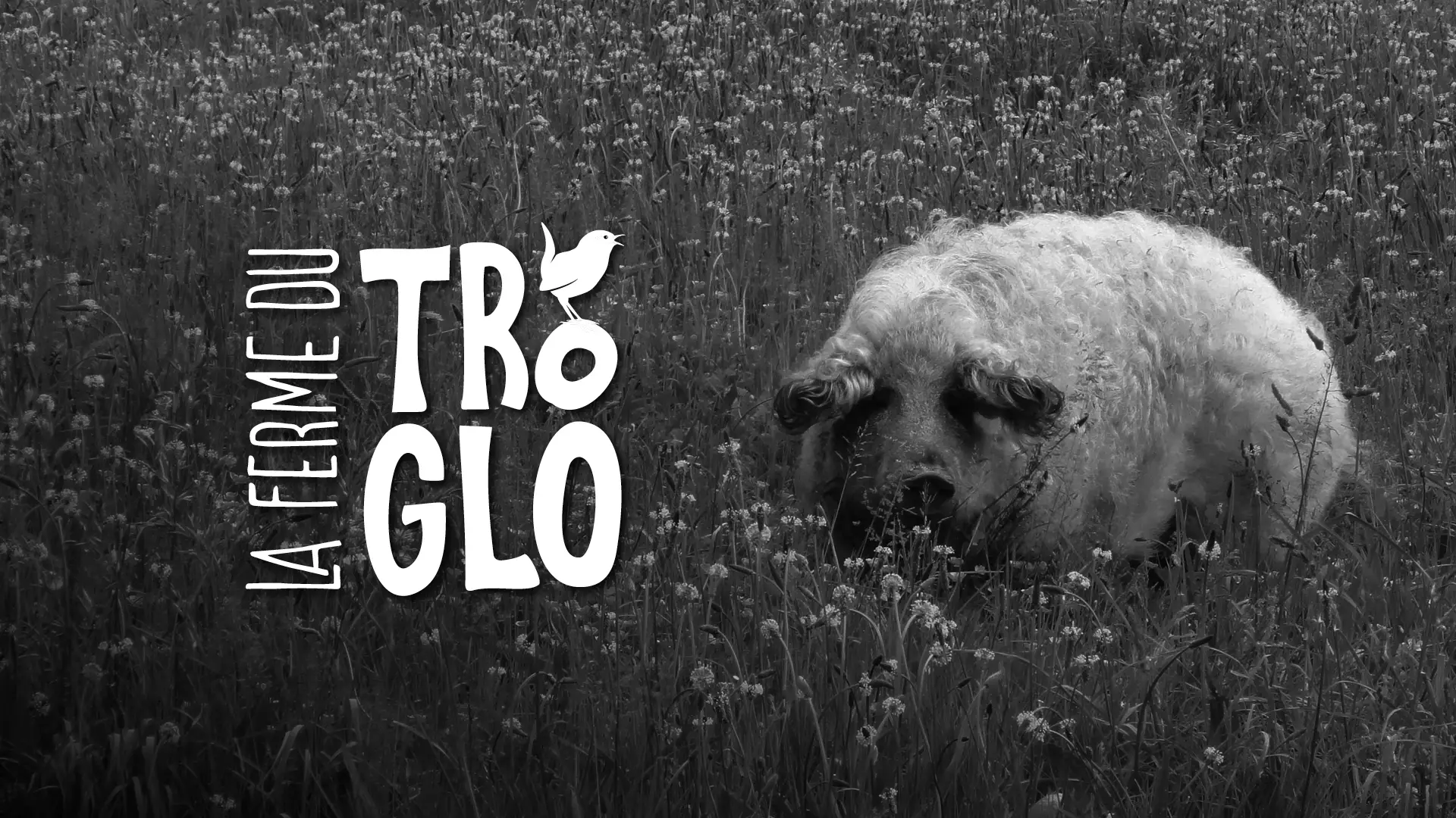 Ferme du Troglo