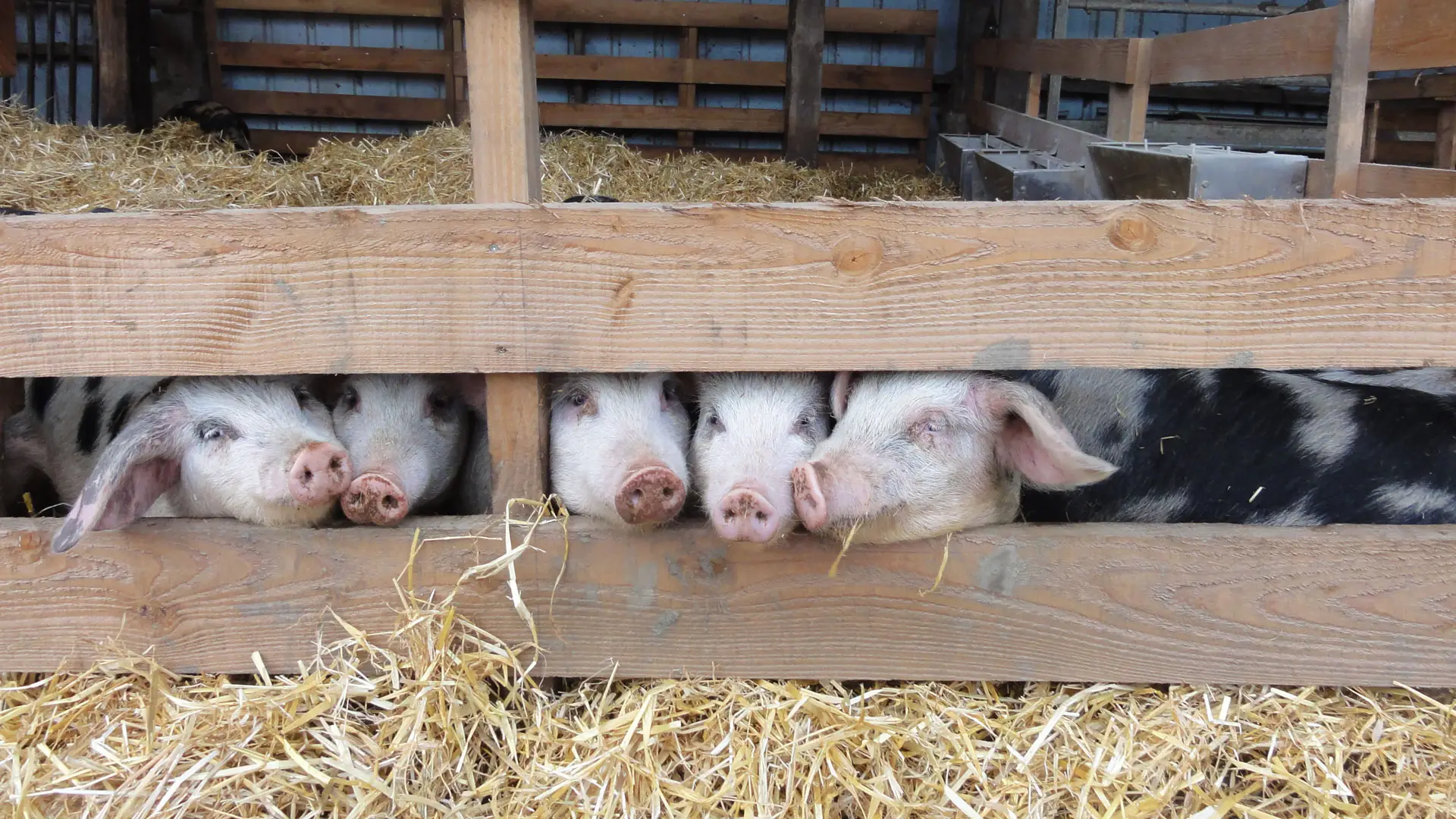 Ferme du Troglo