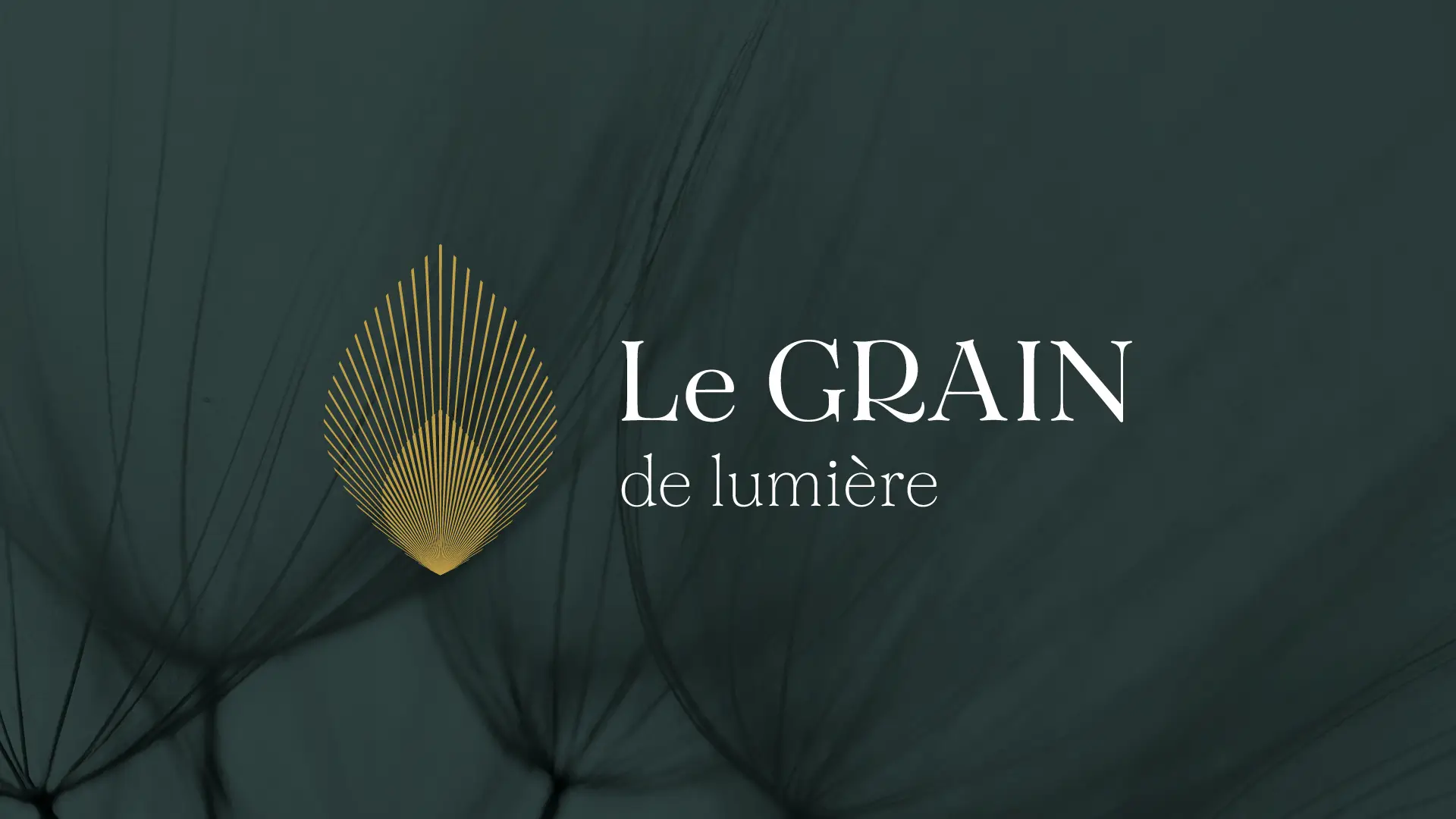 Grain de Lumière
