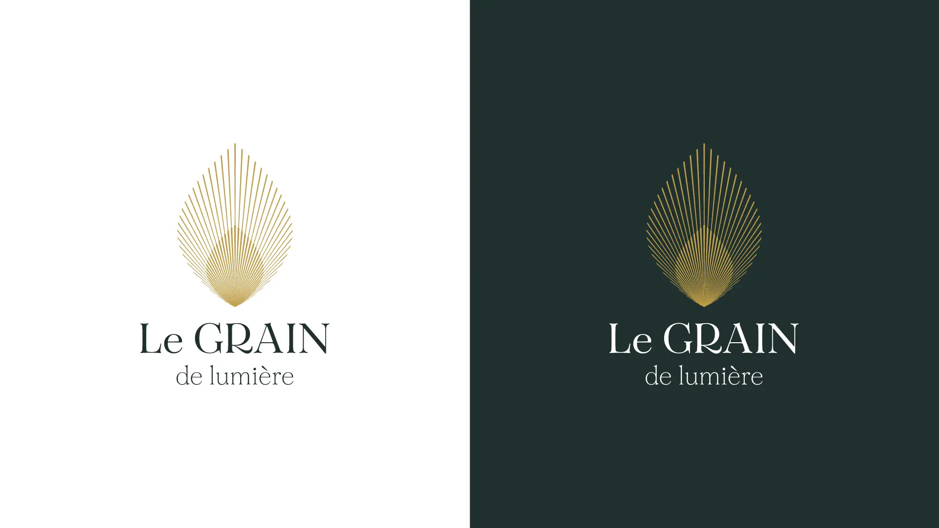 Création d’un logotype